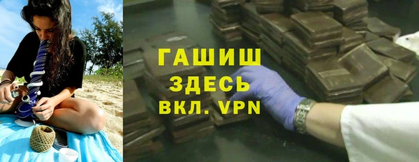 индика Алзамай