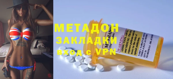 индика Алзамай