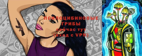 спиды Алексеевка