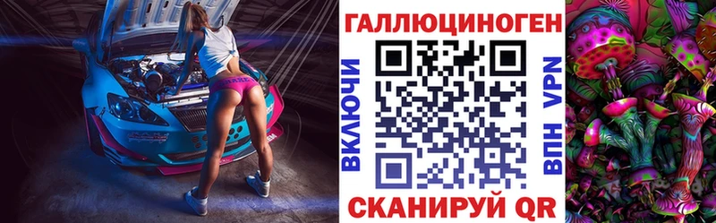 Псилоцибиновые грибы Psilocybe где купить наркоту Курлово